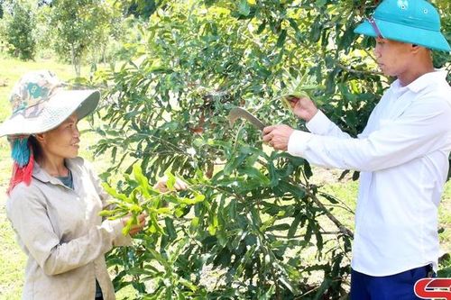 Đoàn kết xây dựng nông thôn mới
