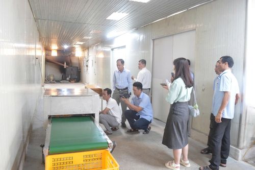 Cà Mau ban hành Chương trình Khuyến công giai đoạn 2026–2030: Thúc đẩy công nghiệp nông thôn phát triển bền vững