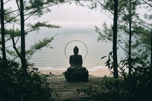 Đọc Ngô Thì Nhậm: Thấy và Nghe