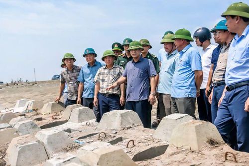 Ninh Bình: Huy động nguồn lực, gia cố tuyến đê Hải Thịnh 3, đảm bảo an toàn cho người dân