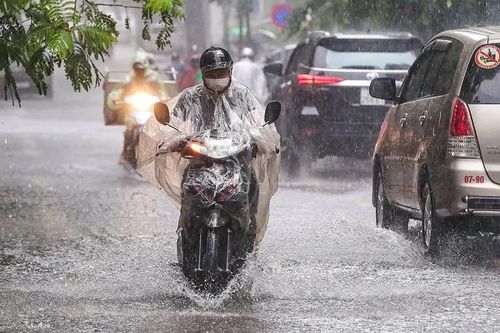 Hà Nội mưa rào và dông cả ngày, giảm về chiều tối