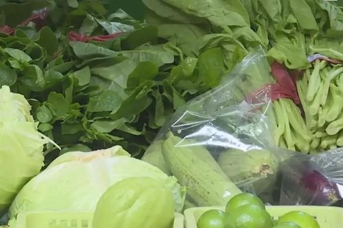 Chủ động nguồn cung, ổn định thị trường rau sau mưa bão