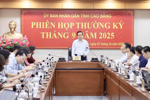 Phiên họp thường kỳ UBND tỉnh tháng 9/2025