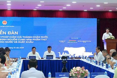 Thách thức gia tăng với ngành chăn nuôi