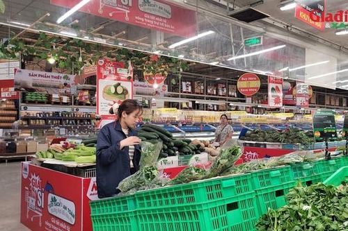 Bão số 11 gây mưa lớn, ngập diện rộng, rau xanh có loại vẫn giữ giá 13.500 đồng/kg