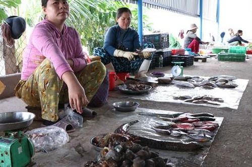 Chợ mới đầu tư tiền tỷ vắng như chùa Bà Đanh, chợ 'chồm hổm' lại tấp nập