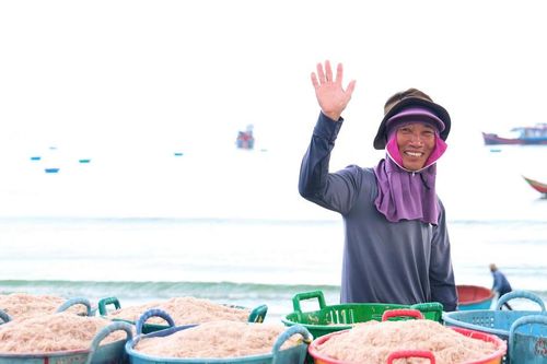 Quảng Ngãi: Trúng đậm mùa ruốc, ngư dân thu tiền triệu mỗi ngày