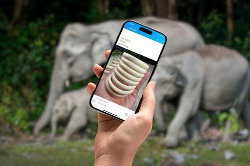 Zalo được vinh danh cho công tác ngăn chặn buôn bán động vật hoang dã