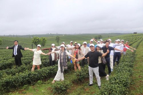 Kết nối xứ biển, trà và hoa