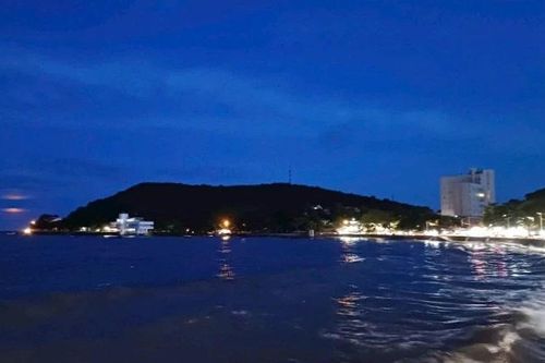 Ứng dụng AI trong bảo tồn đa dạng sinh học biển