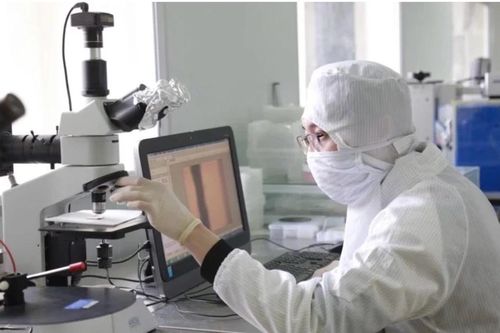 125 đề tài vào chung khảo Giải thưởng Khoa học và công nghệ dành cho sinh viên