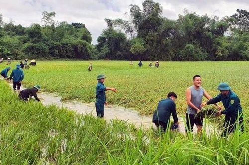 Khẩn trương khôi phục sản xuất, giao thông sau mưa lũ ở Tuyên Quang