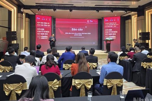 Công bố Báo cáo tổng hợp Diễn đàn Kinh tế tư nhân Việt Nam 2025