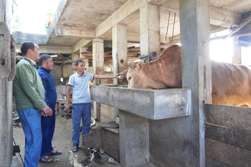 Vùng cao đổi thay từng ngày