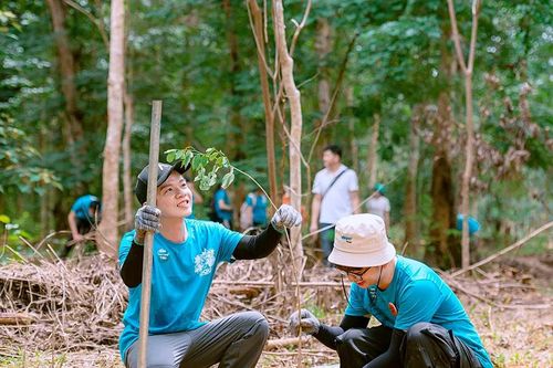 Góp một cây là góp rừng