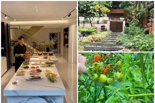 Mê mẩn trước biệt phủ nghìn m2 của gia chủ điển trai như 'tổng tài'