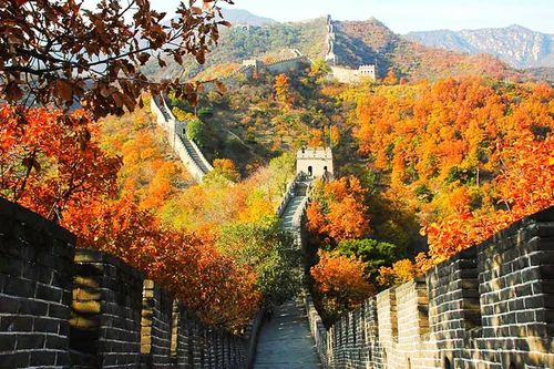 Chi 10–20 triệu đồng, đi đâu ngắm mùa thu đẹp nhất châu Á?