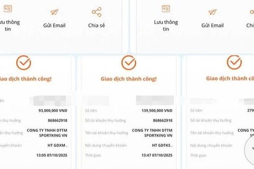 Tham gia nhóm pickleball 'online', người phụ nữ ở Hà Tĩnh bị lừa 600 triệu