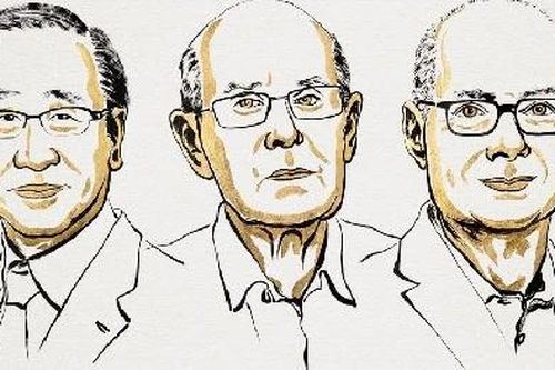 Nobel Hóa học 2025, bước ngoặt vật liệu 'bắt' khí độc, lọc nước sa mạc