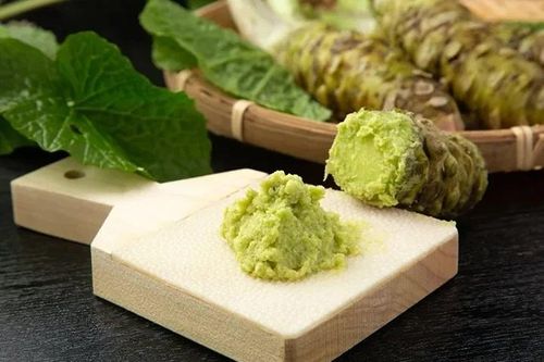 Điều ít biết về loại củ đắt nhất thế giới 6 triệu đồng/kg