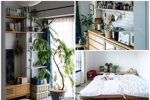 Mê mẩn căn hộ 55m2 'chất lừ' cô nàng độc thân