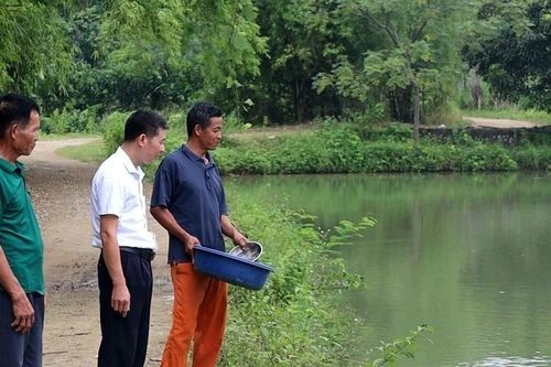 Anh nông dân Tuyên Quang từ tay trắng thành triệu phú