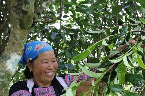 Tận dụng di sản thiên nhiên phát triển kinh tế bền vững