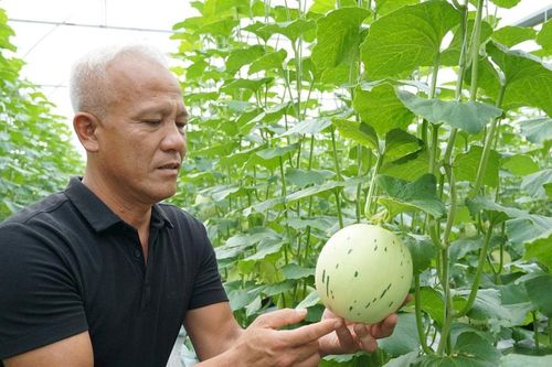 Doanh nhân Bùi Văn Phương: Dám 'chọn việc khó' để làm chủ cuộc chơi nông sản