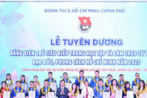 Tuyên dương 95 đảng viên trẻ tiêu biểu học tập và làm theo lời Bác