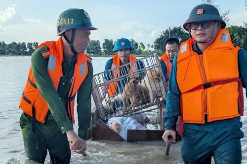 Hải Phòng phát lệnh cảnh báo lũ trên sông Thái Bình