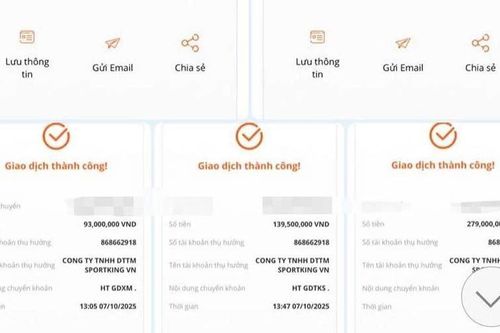 Tham gia nhóm pickleball trên mạng, người phụ nữ bị lừa mất hơn 600 triệu đồng