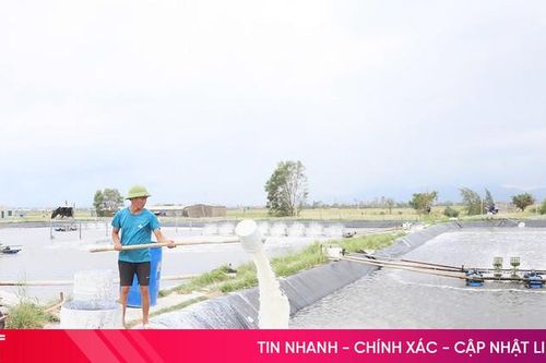 Khôi phục nhịp điệu sản xuất sau bão