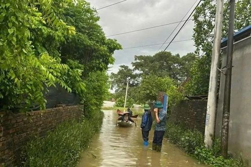 Hà Nội kịp thời hỗ trợ cho người dân bị cô lập do ngập lụt ở Trung Giã