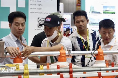 Cơ hội thúc đẩy khoa học, đổi mới sáng tạo cho ngành chăn nuôi