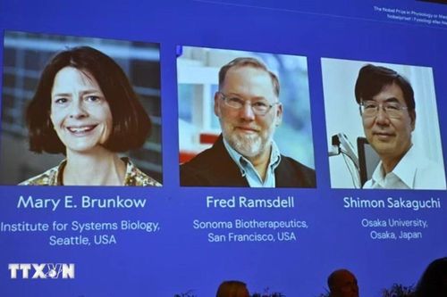 Giải Nobel Y Sinh 2025: Sự kỳ diệu của 'lá chắn an ninh sinh học'