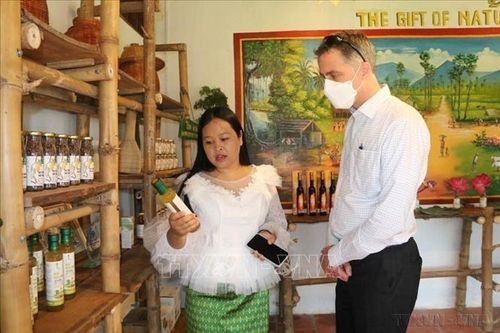 Phụ nữ Đồng bằng sông Cửu Long khởi nghiệp thích ứng biến đổi khí hậu - Bài 1: Nhận diện các thách thức