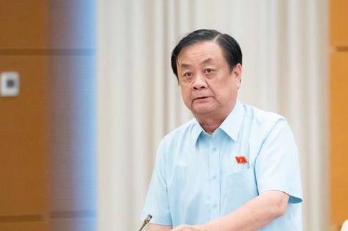 'Không thể coi sang chấn tâm lý sau thiên tai là chuyện nhỏ'