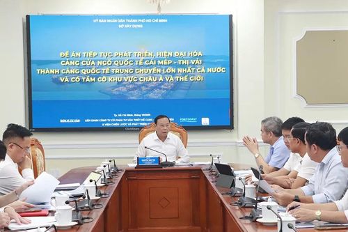 TPHCM: Phát triển Thị Vải - Cái Mép thành cảng trung chuyển tầm cỡ khu vực