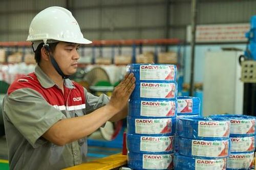 CADIVI kỷ niệm 50 năm thành lập
