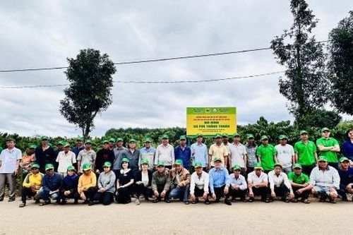 Nâng giá trị hạt cà phê Việt trên thị trường quốc tế