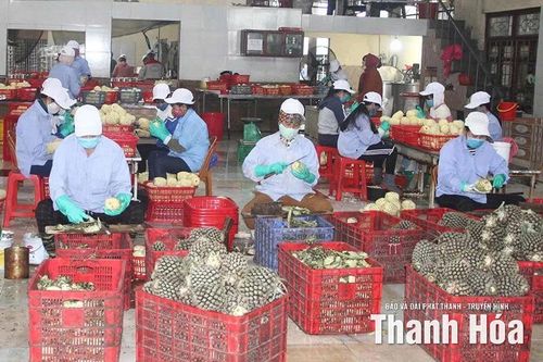 Không để gián đoạn Chương trình OCOP sau khi vận hành chính quyền địa phương 2 cấp