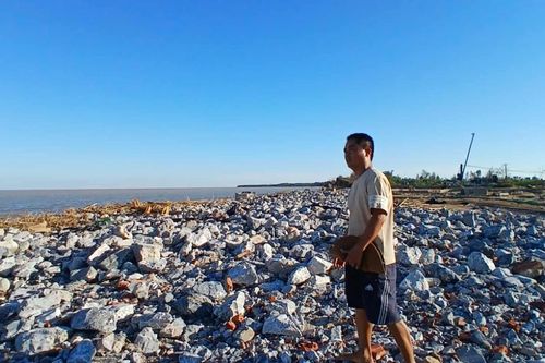 Thiệt hại sau bão dữ ở vùng nuôi tôm Hoằng Thanh, Thanh Hóa