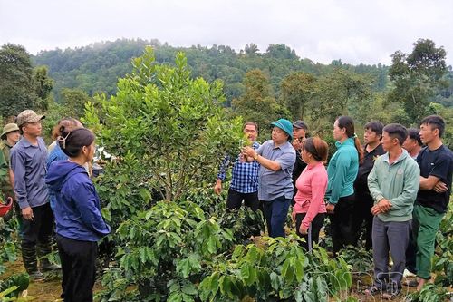 Đưa nghị quyết vào cuộc sống
