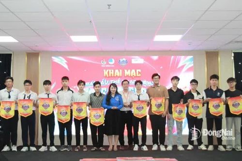 13 đội tham gia Giải đấu thể thao điện tử - Dongnai Esport lần thứ III
