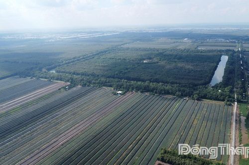Tỉnh Đồng Tháp: Đầu tư mở rộng Khu Bảo tồn sinh thái Đồng Tháp Mười thêm khoảng 60 ha