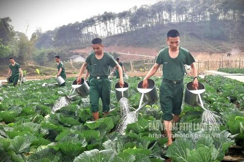 Tăng gia tốt, bộ đội khỏe