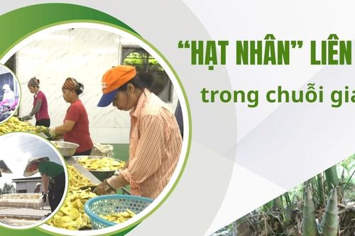 'Hạt nhân' liên kết trong chuỗi giá trị