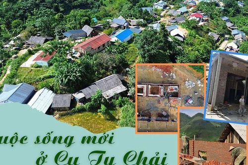 Cuộc sống mới ở Cu Ty Chải