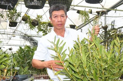 'Thủ phủ' của lan rừng