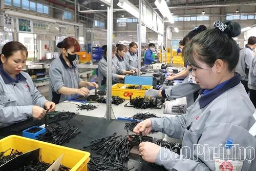 Công ty TNHH Cap Global: Vững bước từ cải tiến quản lý đến chăm lo con người